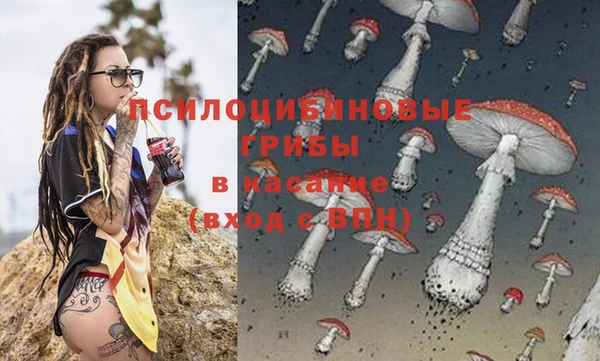 тгк Переславль-Залесский