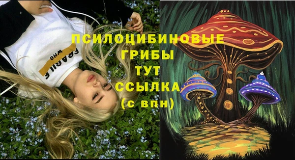 apvp Покровск