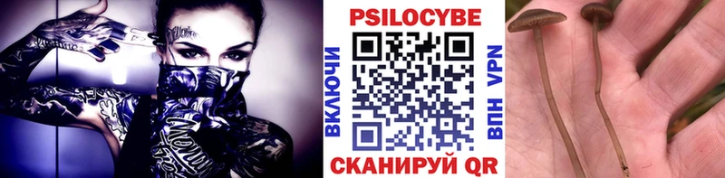 Купить где Кувандык Галлюциногенные грибы GOLDEN TEACHER